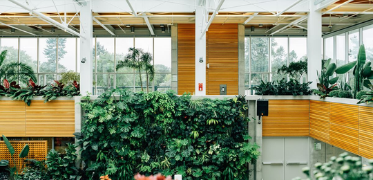 HerbRootHub